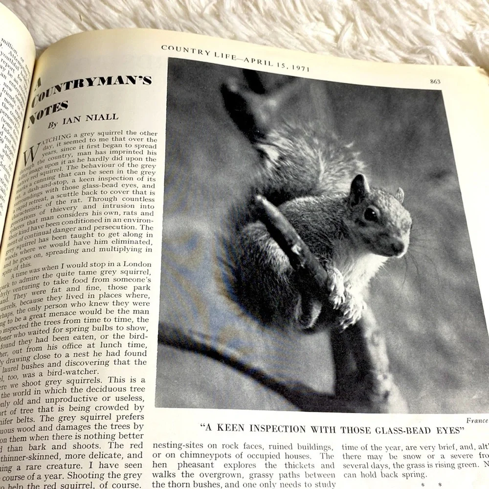 COUNTRY LIFE MAGAZINE VINTAGE WILD LIFE NUMBER ENGLAND April 1971